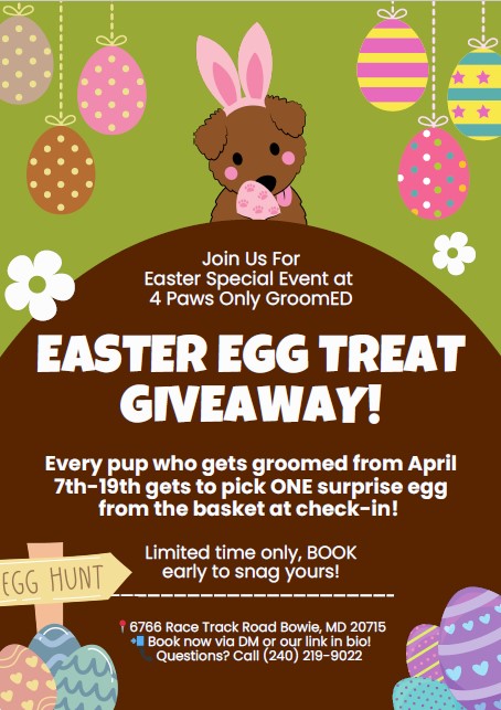 Easter Special Event at 4 Paws Only Groomed! icon
